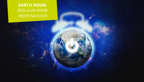 Earth Hour in Riemst