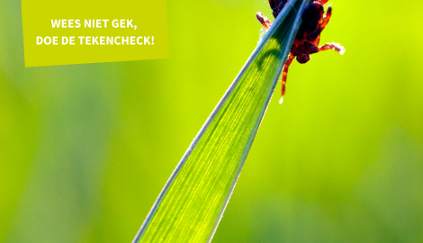 Tekencheck