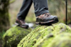 Start to Walk © Stockafbeeldingen MS PowerPoint