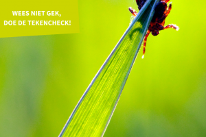 Tekencheck