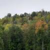 Boswandeling © Natuurpunt