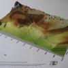 Caestert: Het verhaal van Vlaanderen © Natuurpunt