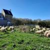 Opening expo en beestig programma in Hoeve Caestert © Natuurpunt