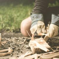 survival © Freepik survival © Freepik